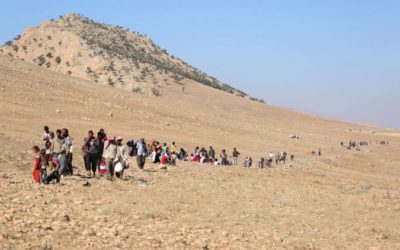 Appel urgent pour prévenir une tragédie dans la région de Shengal