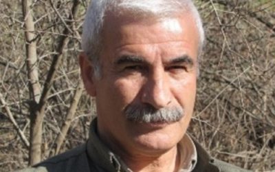 Zekî Şengali: ‘PDK, kuzuyu kurda bırakıyor’