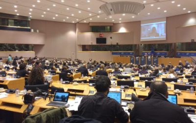 5/12 en 6/12: Internationale conferentie in het Europees parlement: The Kurdish factor in world politics: Crisis, Challenges and Solutions.