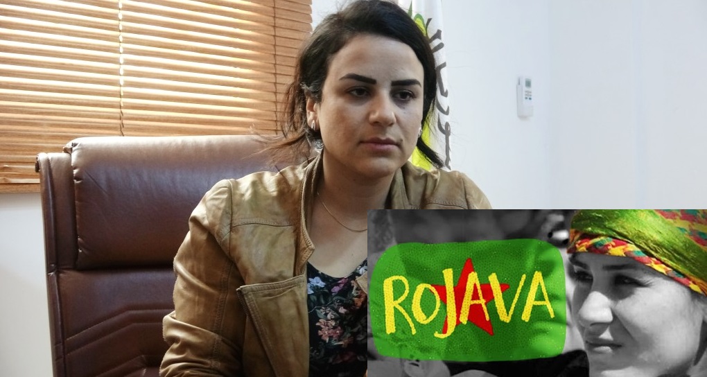 The unique Rojava Society Model – Webinar session 1 “The generic picture” – Review & video-material