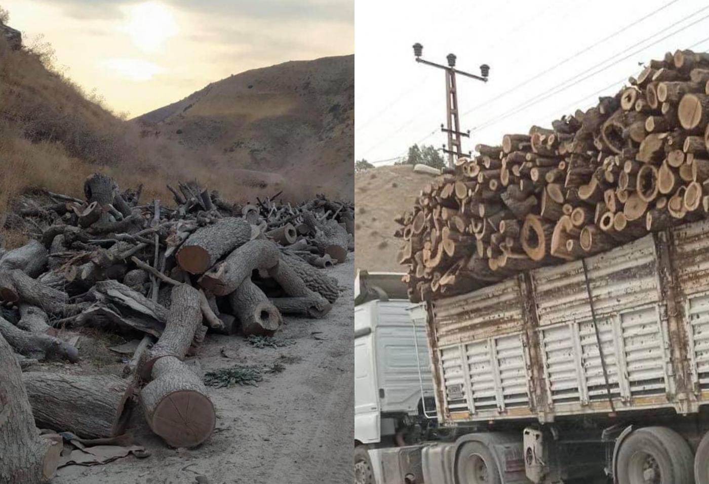 DEFORESTATION with the aim of DEPOPULATION – A criminal way to make the Kurdish region uninhabitable