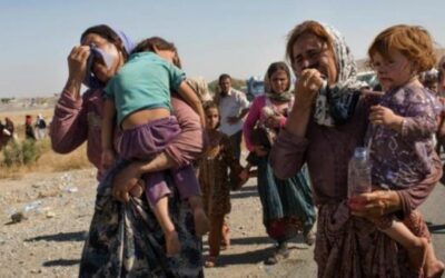 Les Yézidis ont besoin de justice, la Belgique doit y veiller — Béatrice Delvaux dans Le Soir (19-10-2021)