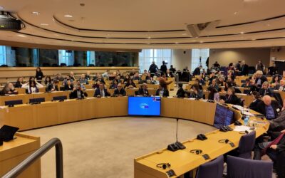17e Internationale Conferentie van de EU Turkey Civic Commission – Finale resolutie
